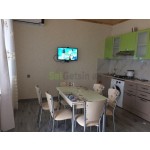 5-otaqli-villa-small-2