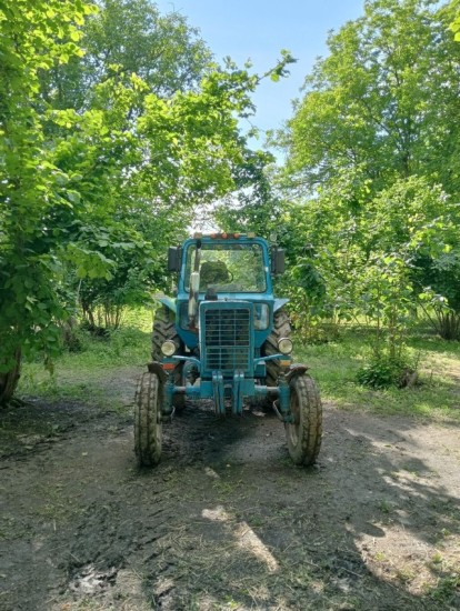 traktor-belarus-mtz-big-5