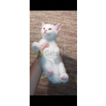 britan-erkek-bebe-small-3