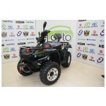 kvadrasikl-4x4-ikiyerli-small-0