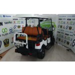 yukseldilmis-asqili-qolf-kari-altiyerli-small-2