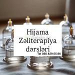 hicama-zeliterapiya-kurslari-small-0