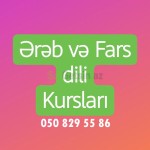 ereb-dili-kurslari-small-1