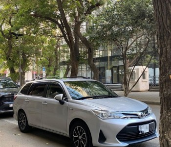 Toyota Corolla: 1.5 l | 2018 il Universal