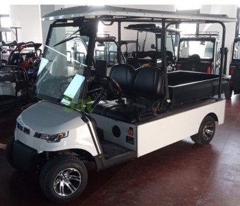 Qolf kar yükdaşıyan DU-G4L-8+cargo ikiyerli